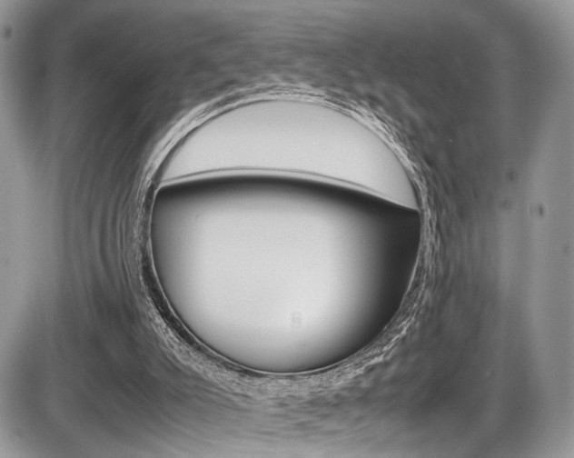 X0000087420007200704201057