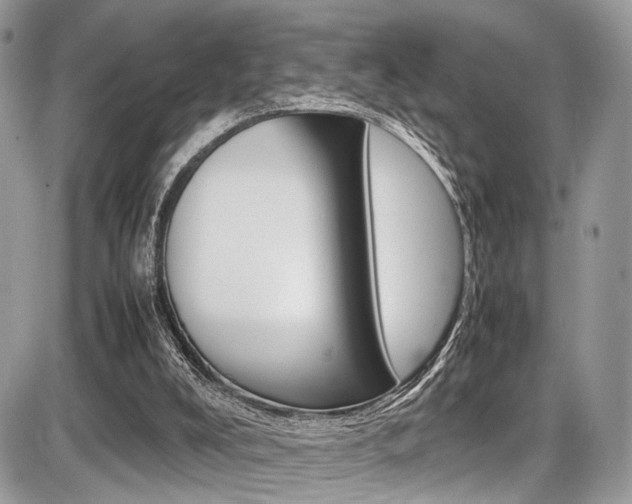 X0000087420008200704201057