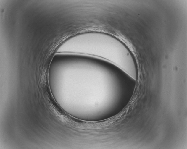 X0000087420009200704201057