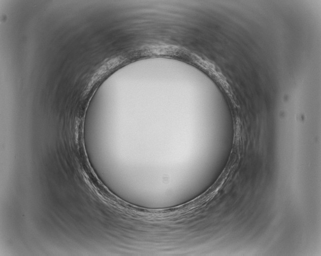 X0000087420010200704201057