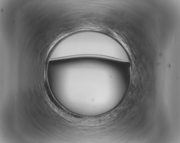 X0000087420011200704201057