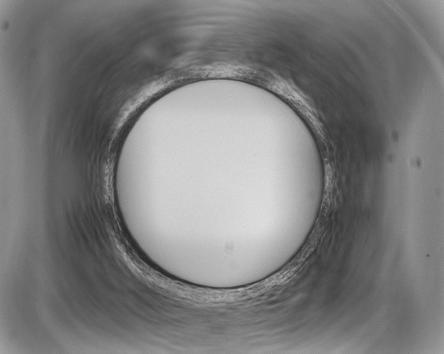 X0000087420012200704201057