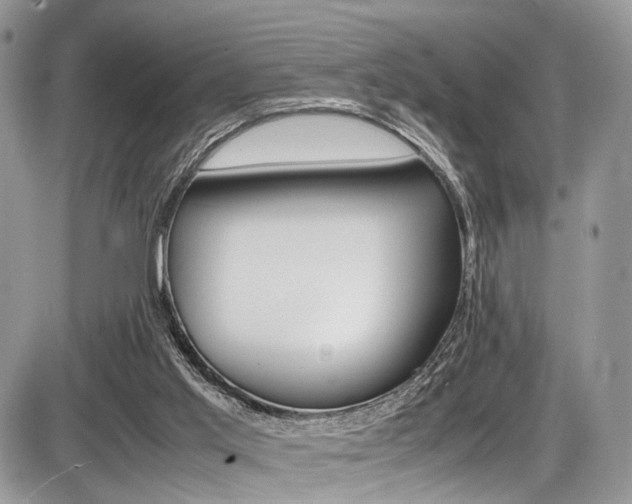 X0000087420013200704201057