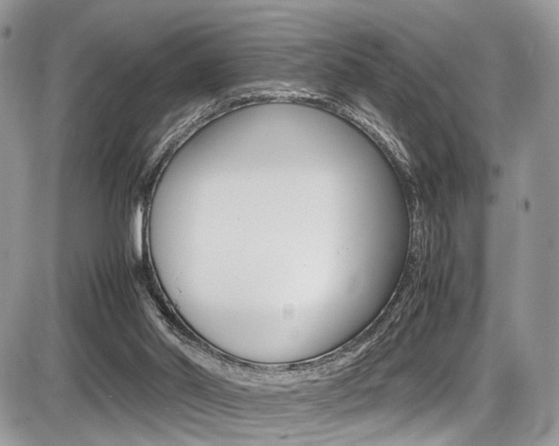 X0000087420014200704201057