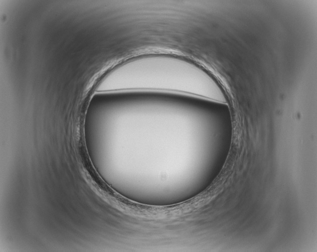 X0000087420015200704201057