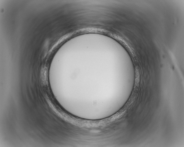 X0000087420016200704201057