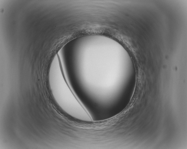 X0000087420017200704201057