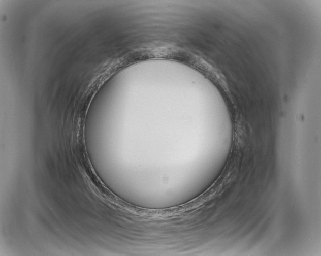 X0000087420018200704201057