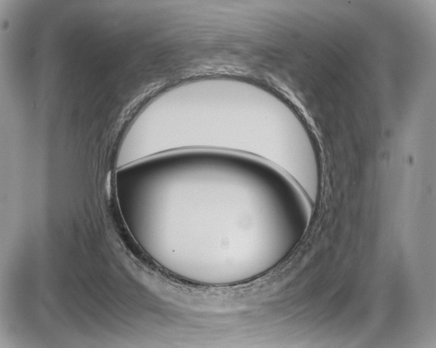 X0000087420019200704201057