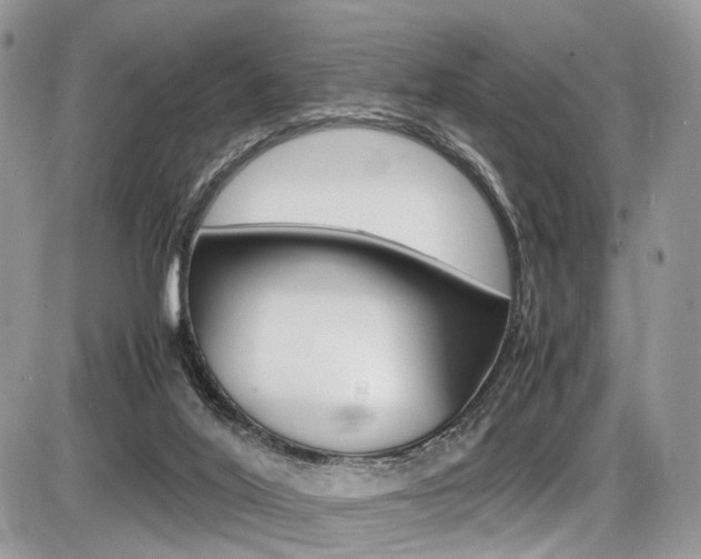 X0000087420020200704201057