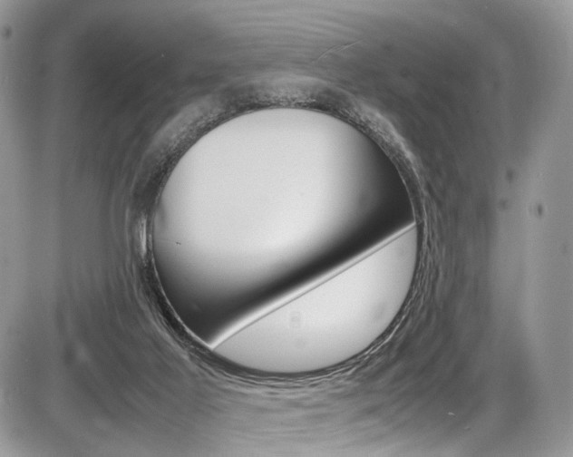 X0000087420021200704201057