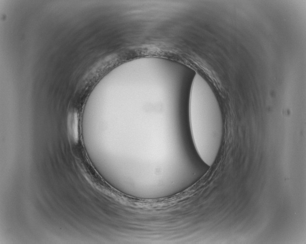 X0000087420022200704201057