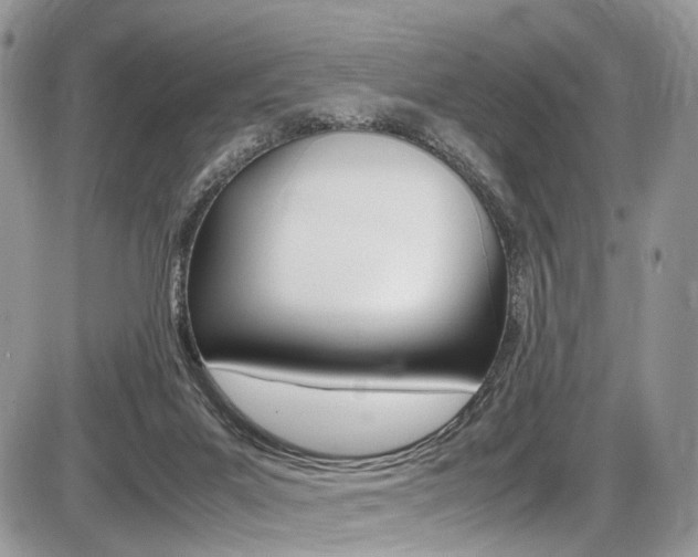 X0000087420023200704201057