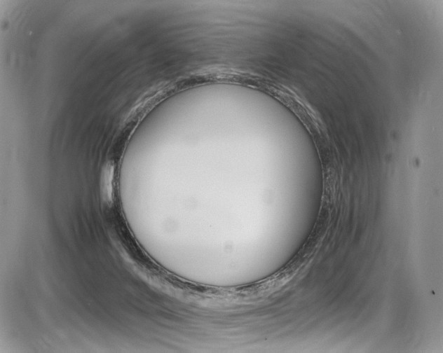 X0000087420024200704201057