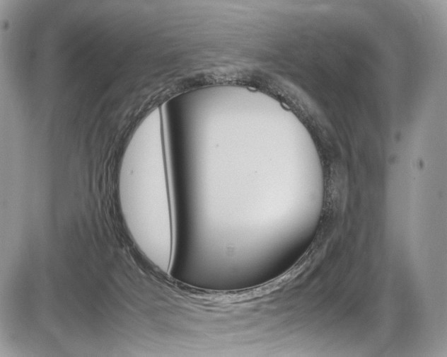 X0000087420025200704201057