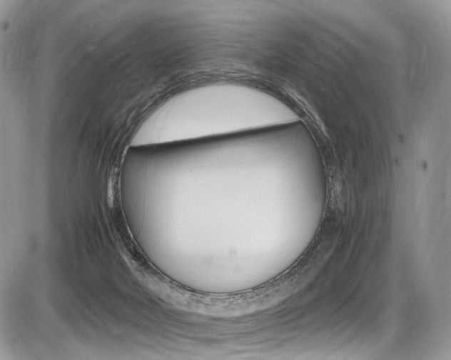 X0000087420026200704201057