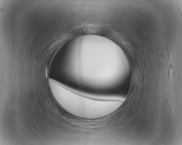 X0000087420027200704201057