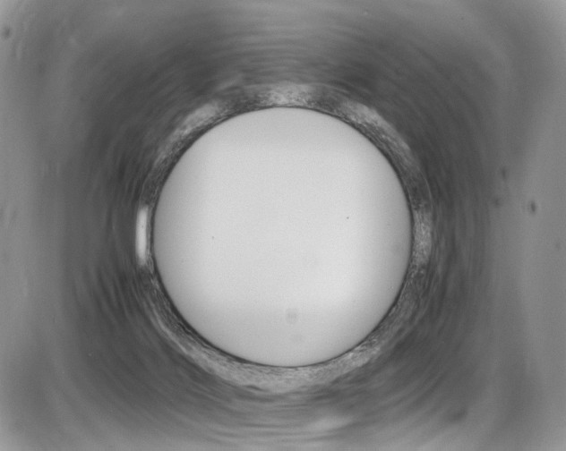 X0000087420028200704201057