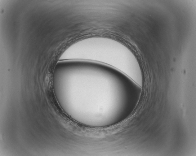 X0000087420029200704201057