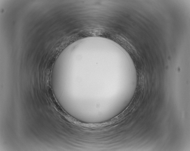 X0000087420030200704201057