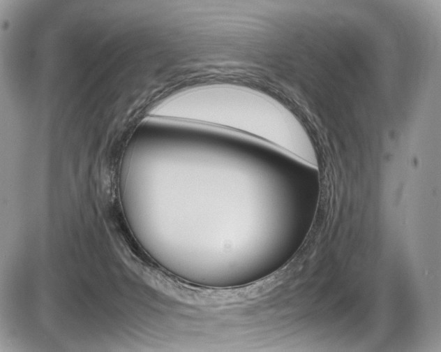 X0000087420031200704201057