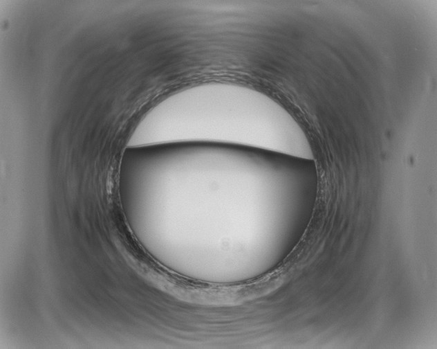 X0000087420032200704201057