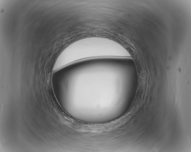 X0000087420033200704201057