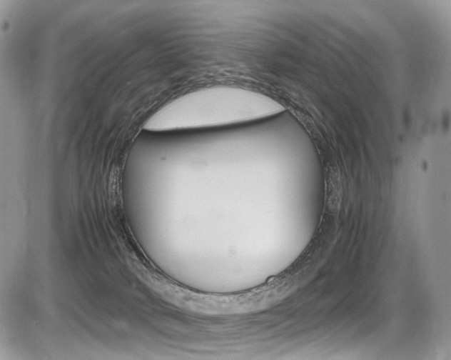 X0000087420034200704201056