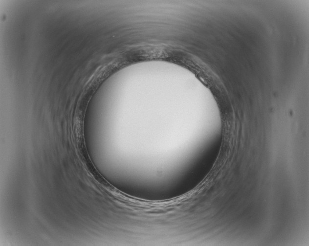 X0000087420035200704201056