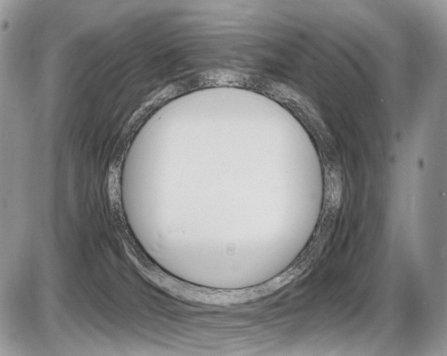 X0000087420036200704201056