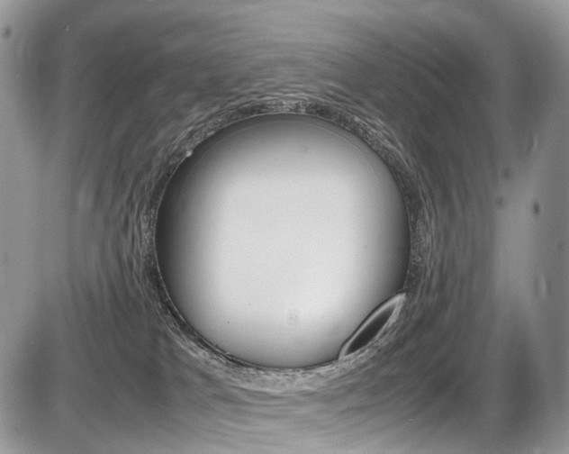 X0000087420037200704201056