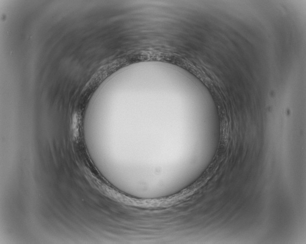 X0000087420038200704201056