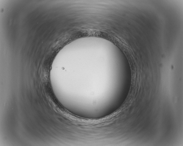 X0000087420039200704201056