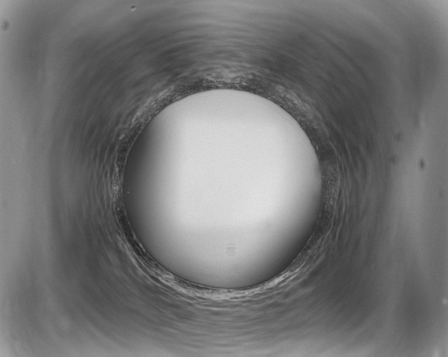 X0000087420040200704201056