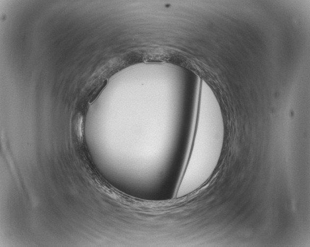 X0000087420041200704201056