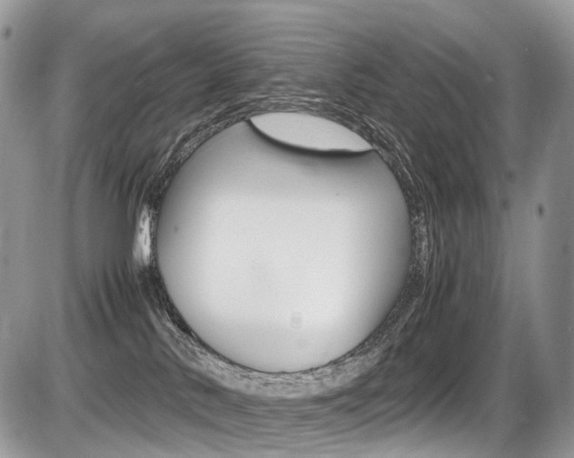 X0000087420042200704201056