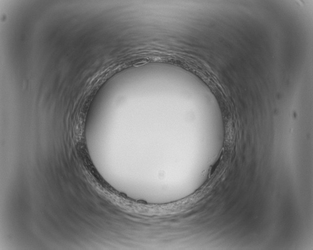 X0000087420043200704201056