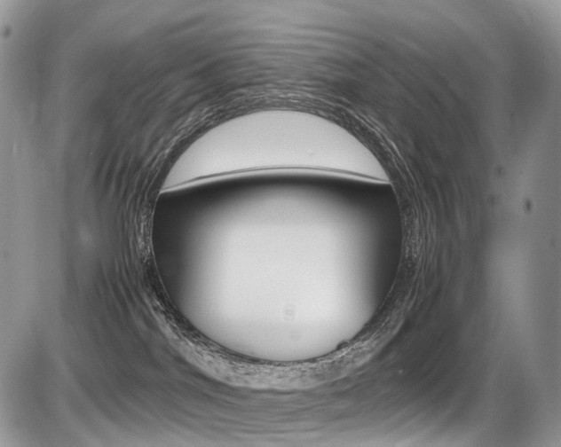 X0000087420044200704201056