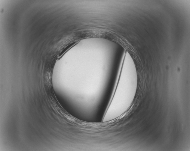 X0000087420045200704201056