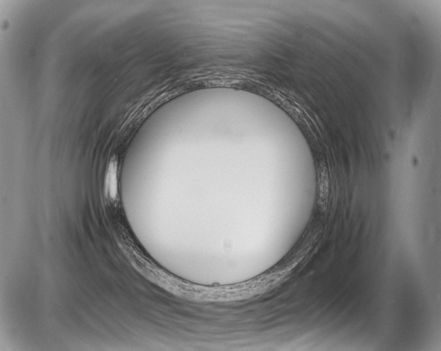 X0000087420046200704201056