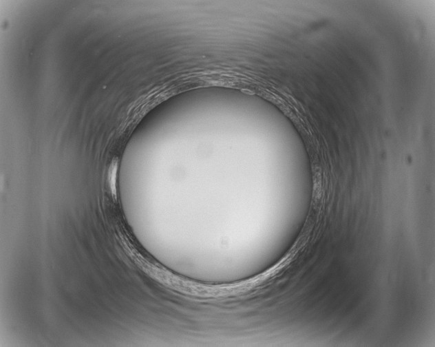 X0000087420047200704201056