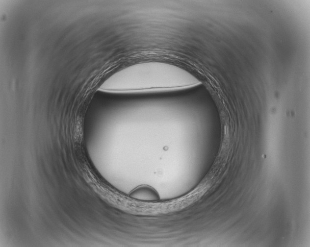 X0000087420048200704201056