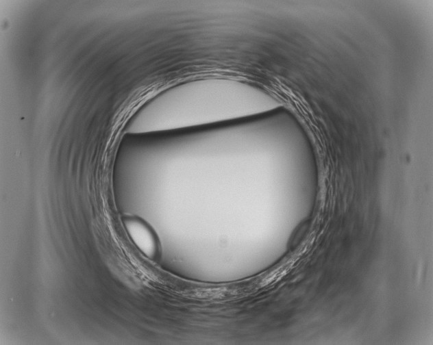 X0000087420049200704201055