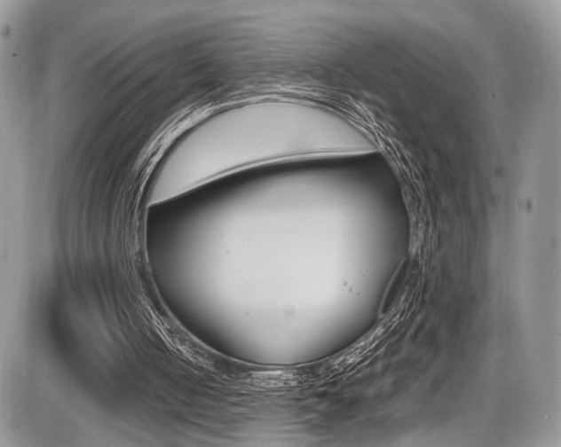 X0000087420050200704201056