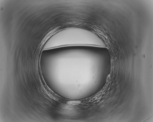 X0000087420051200704201056