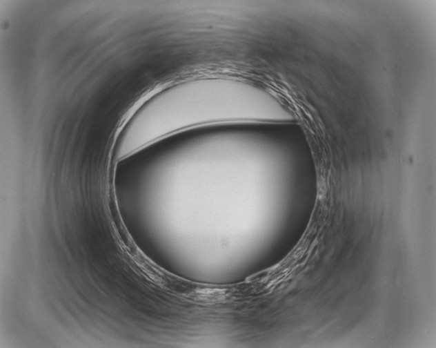 X0000087420052200704201056