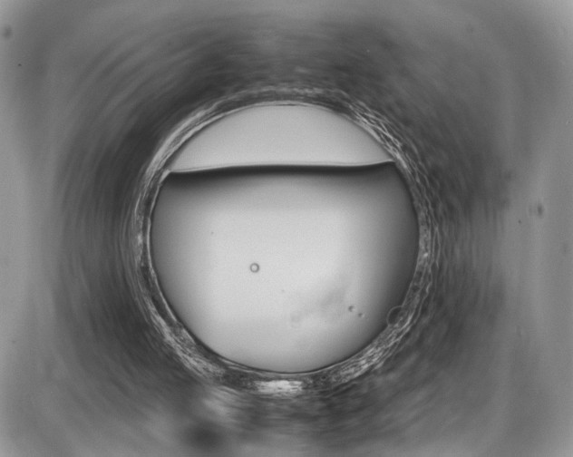 X0000087420053200704201056