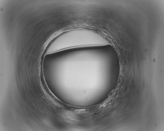 X0000087420054200704201056