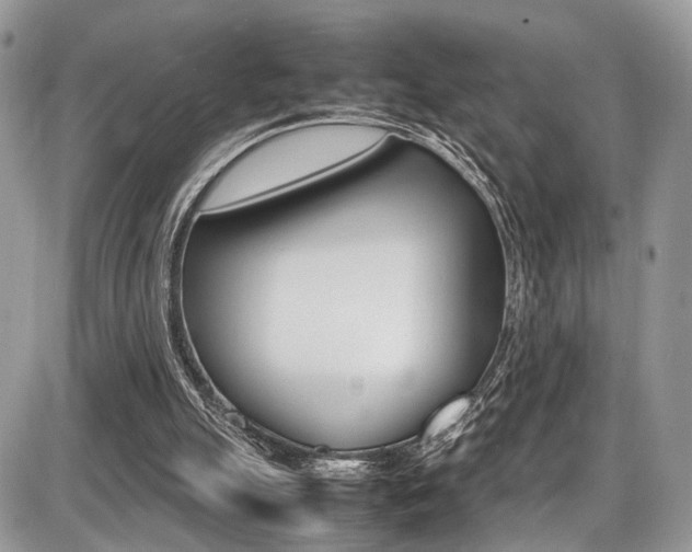 X0000087420055200704201056