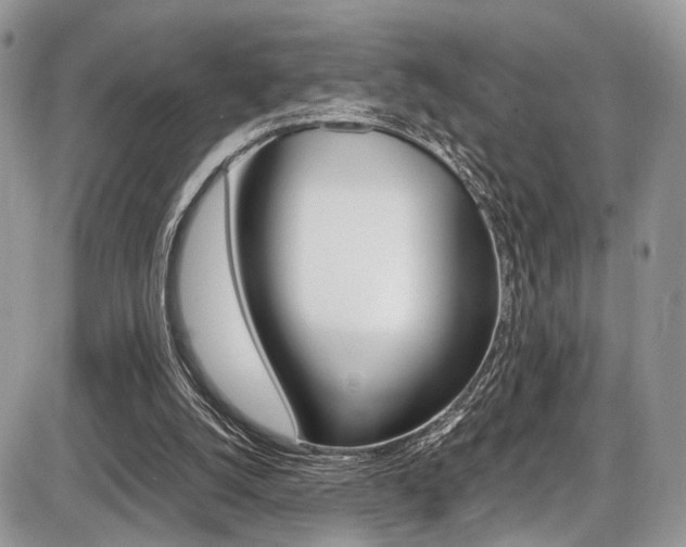 X0000087420056200704201056